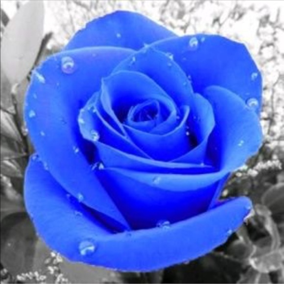 Accessory Multicolor Handmade Hair Clip,Broach Pin - Picture 4 of 4